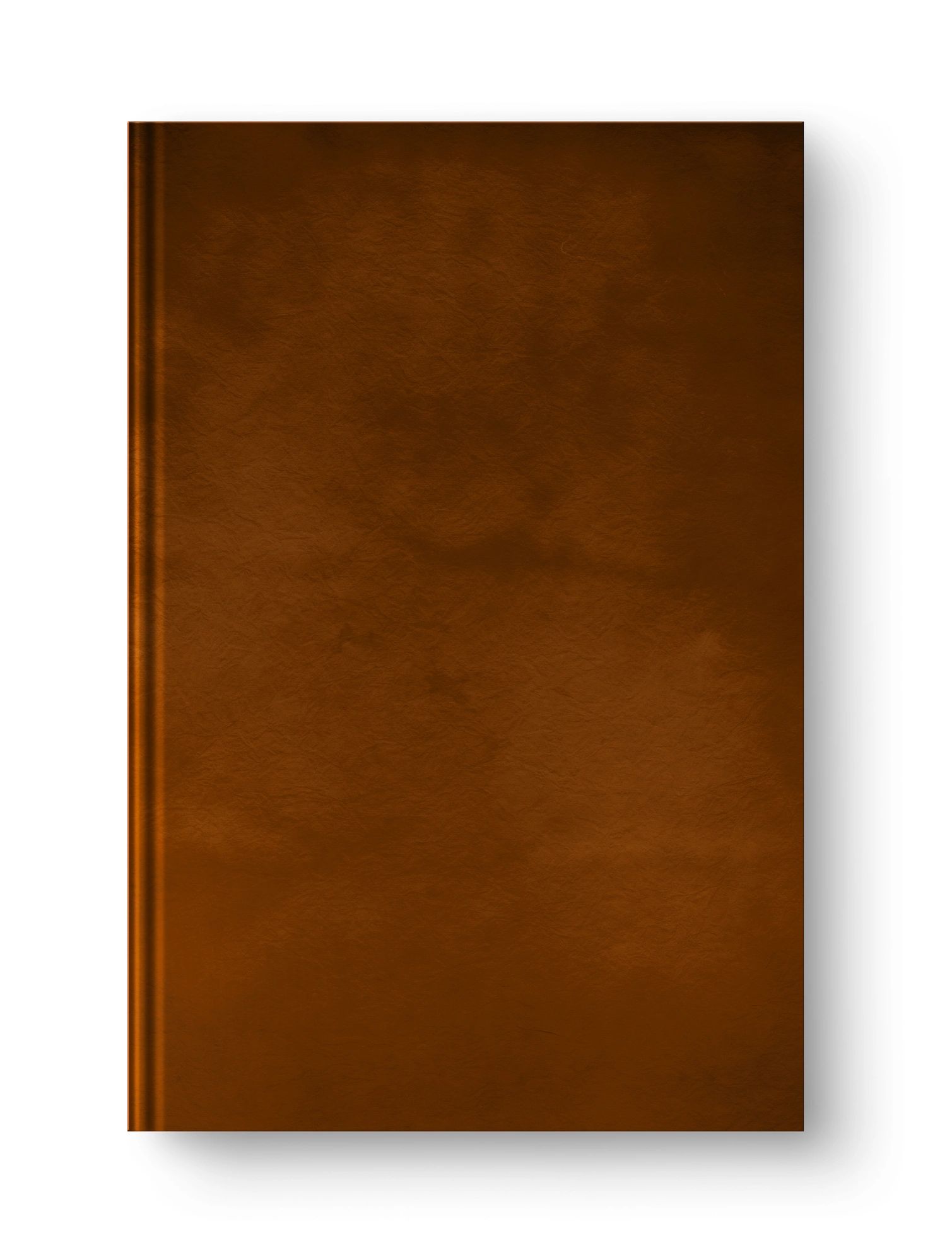 Placeholder for Rights & Acquisitions Manager